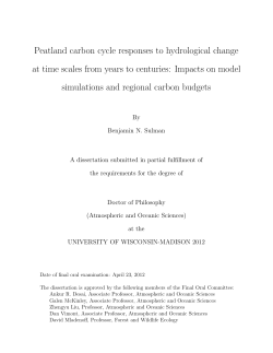 Peatland carbon cycle responses to hydrological change at time