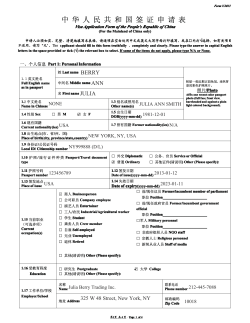 a sample completed filled out China visa application form