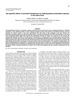Sex-specific effects of prenatal testosterone on nestling plasma