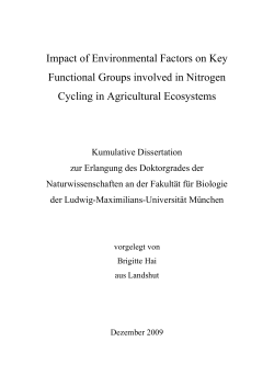 Impact of Environmental Factors on Key Functional Groups involved