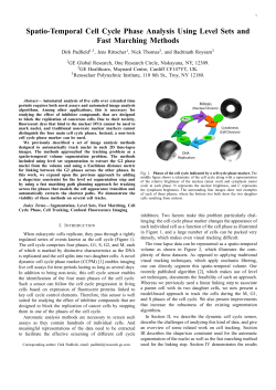 Spatio-Temporal Cell Cycle Phase Analysis