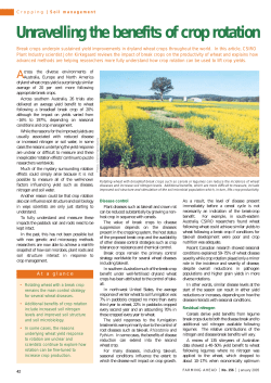 Unravelling the benefits of crop rotation