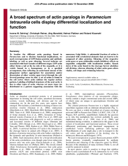 A broad spectrum of actin paralogs in Paramecium tetraurelia cells