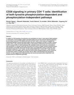 CD28 signaling in primary CD4+ T cells