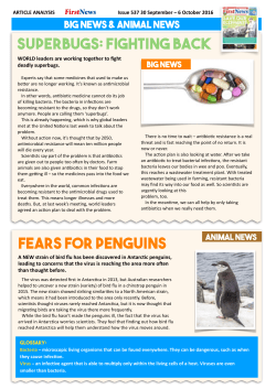 superbugs: fighting back fears for penguins