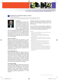 Scientific Proceedings Equine Programme 5