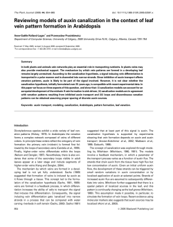 Reviewing models of auxin canalization in the context of leaf vein