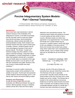 Porcine Integumentary System Models