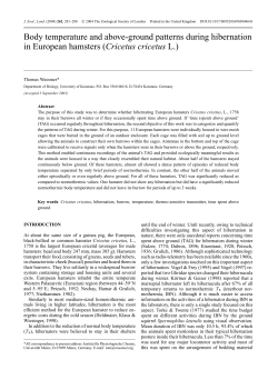 Body temperature and above-ground patterns - staff.uni