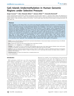 CpG Islands Undermethylation in Human Genomic Regions