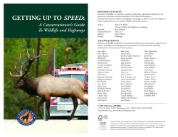 Getting Up to Speed - Defenders of Wildlife