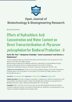 Effects of Hydrochloric Acid Concentration and Water Content on