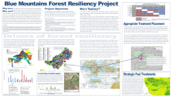 Landform Associations of the Blue Mountains