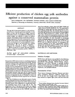 Efficient production of chicken egg yolk