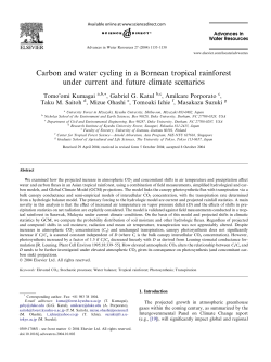 Carbon and water cycling in a Bornean tropical rainforest under