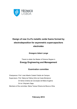 Design of new Cu-Fe metallic oxide foams formed