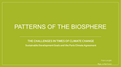 Patterns of the biosphere
