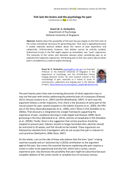 Fish lack the brains and the psychology for pain