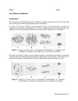Name: Date: Title: Mitosis and Meiosis. Introduction. The movement