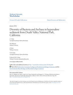Diversity of Bacteria and Archaea in hypersaline