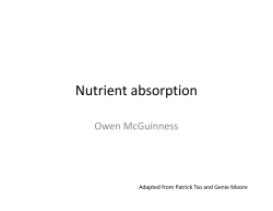 Nutrient absorption