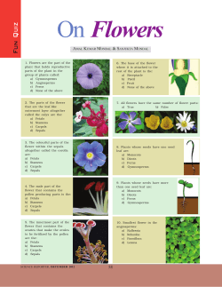 On Flowers
