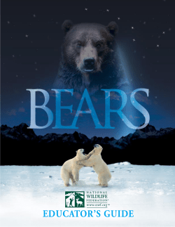 Bears Educator Guide