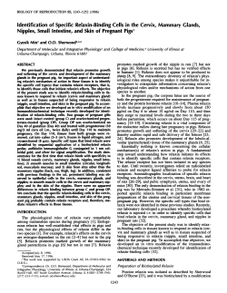 Identification of Specific Relaxin