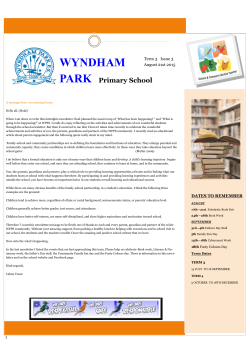 Family Fun Spanish Afternoon - Wyndham Park Primary School