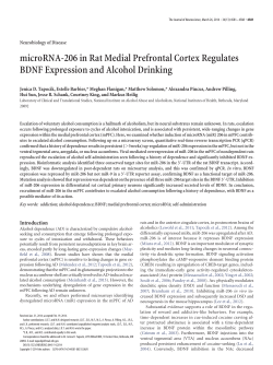 microRNA-206 in Rat Medial Prefrontal Cortex Regulates BDNF