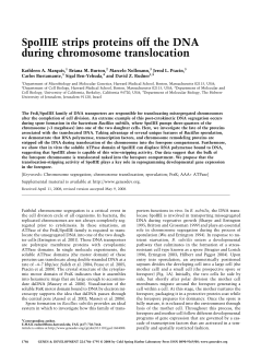 SpoIIIE strips proteins off the DNA during chromosome translocation