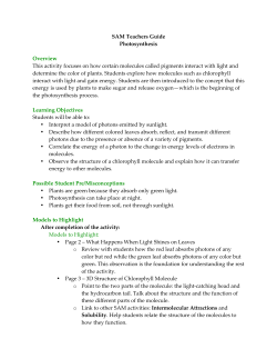 SAM Teachers Guide Photosynthesis Overview This - RI