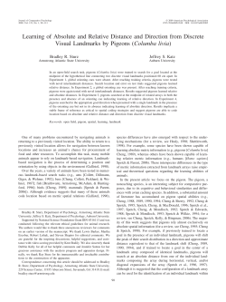 Learning of Absolute and Relative Distance and