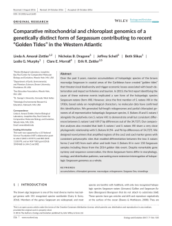 Comparative mitochondrial and chloroplast genomics of a