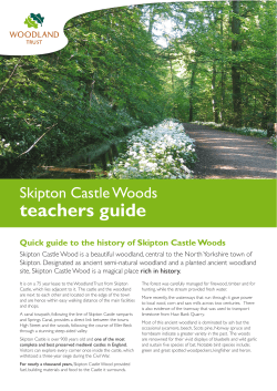 teachers guide - The Woodland Trust