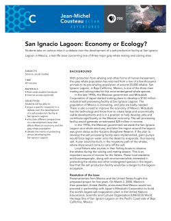 San Ignacio Lagoon: Economy or Ecology?
