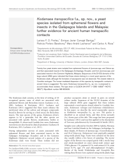 Kodamaea transpacifica f.a., sp. nov., a yeast species isolated from