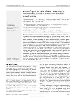 An rpoD gene sequence based evaluation of cultured