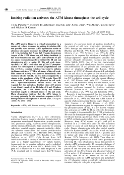 Ionizing radiation activates the ATM kinase throughout the cell cycle