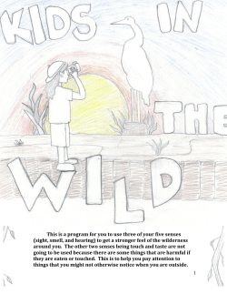 This is a program for you to use three of your five senses (sight