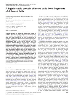 A highly stable protein chimera built from fragments of different folds