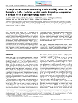 Carbohydrate-response-element-binding protein (ChREBP) and not