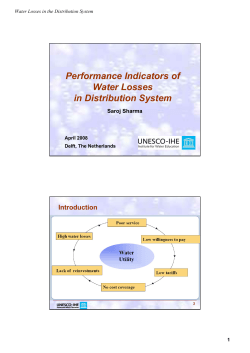 Performance Indicators of Water Losses in Distribution System