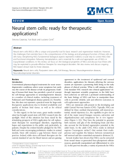 Neural stem cells: ready for therapeutic applications? | Molecular