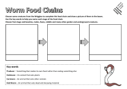 Key words - National Museum Wales