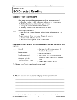 8-3 Directed Reading