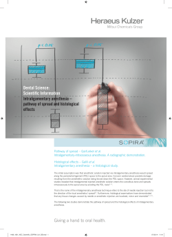 PDF downloaden - Heraeus Kulzer