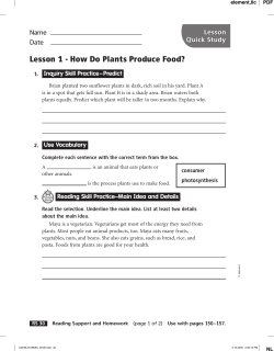 Lesson 1 - How Do Plants Produce Food?