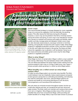 Combining Strip Tillage and Cover Crops