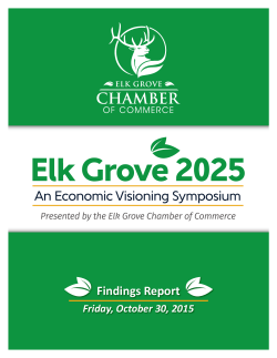 Findings Report - Elk Grove Chamber of Commerce